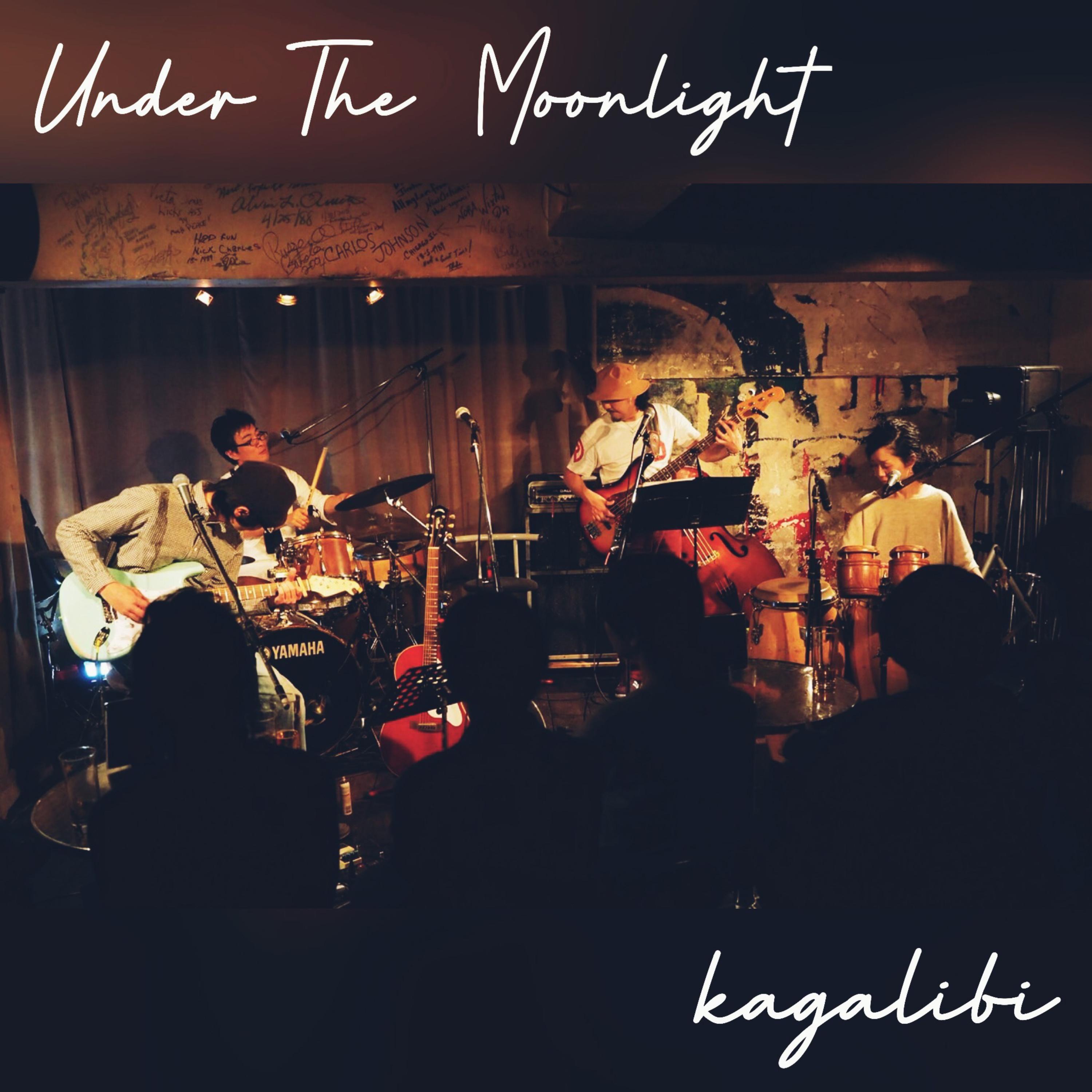 Under The Moonlight