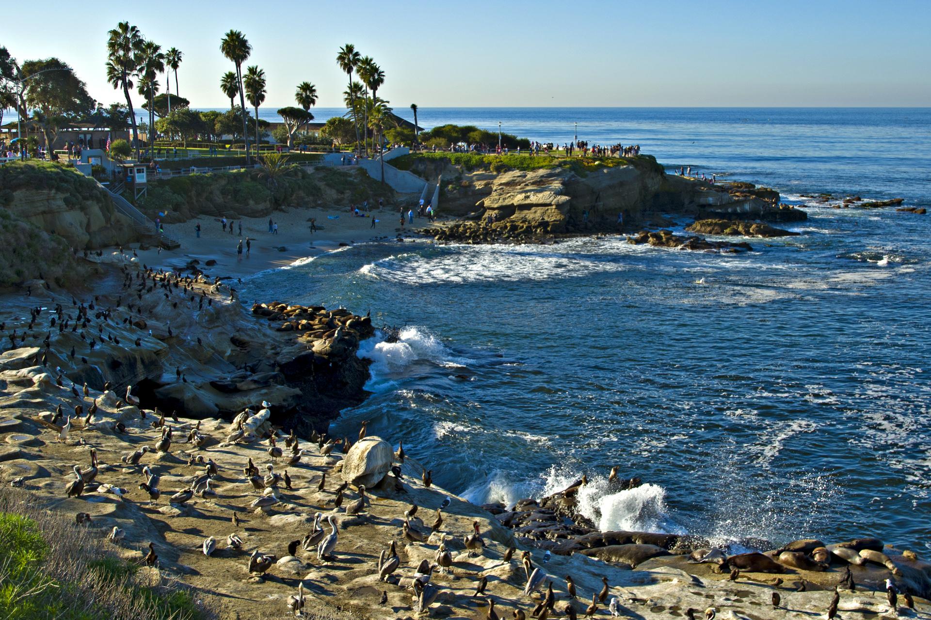La Jolla Cove