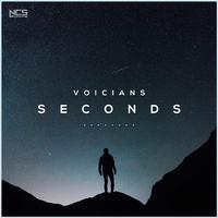 Voicians - Seconds