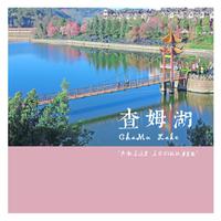 红棉树下的情歌(原伴奏降2调、缺女声)