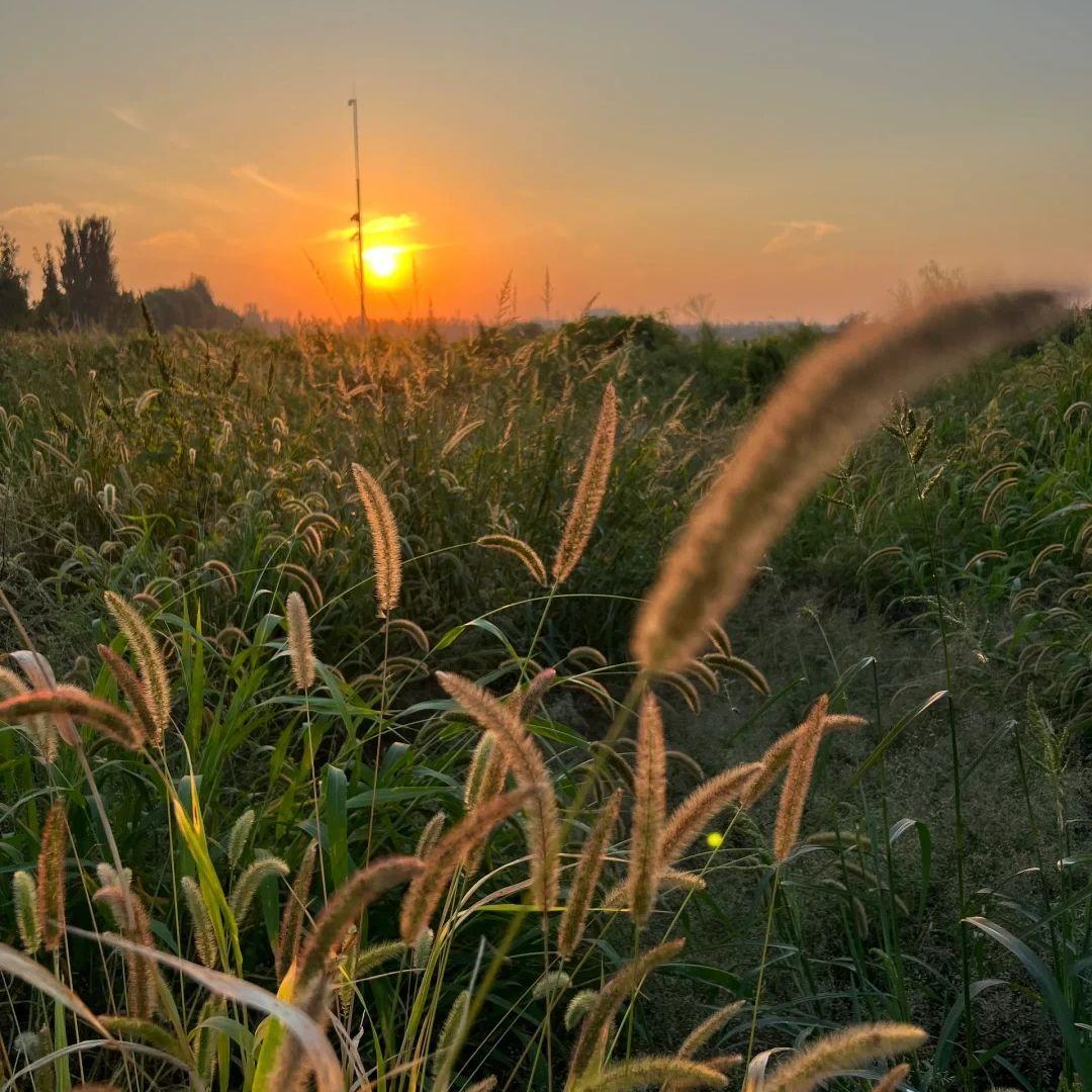 飞向别人的chuang（热播版live）