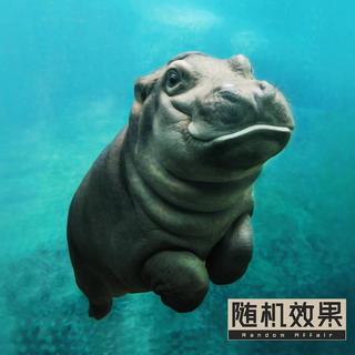 Wet Dance - 笑果工厂（徐汇店）随机歌单