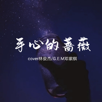 林俊杰 - 手心的蔷薇 (原版)