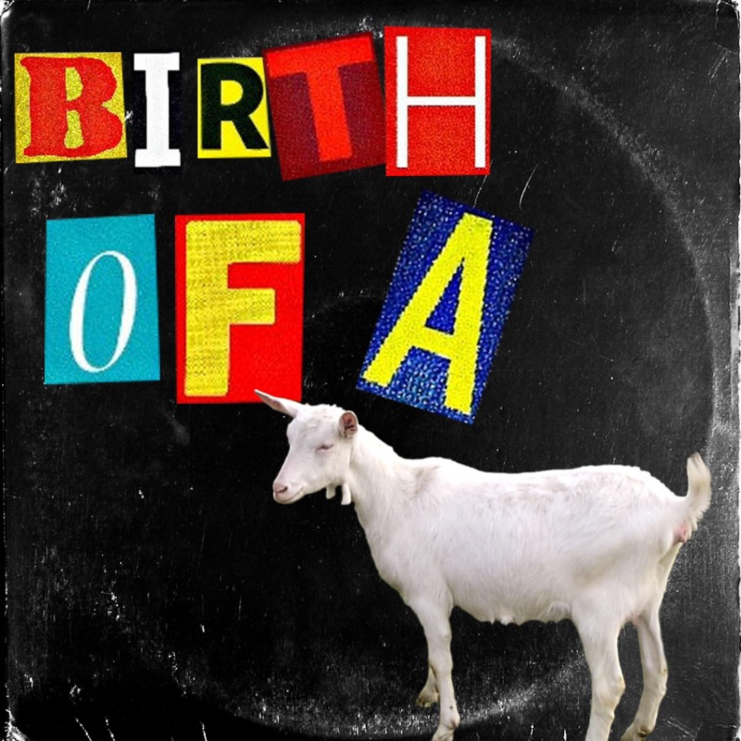 Birth Of A Goat