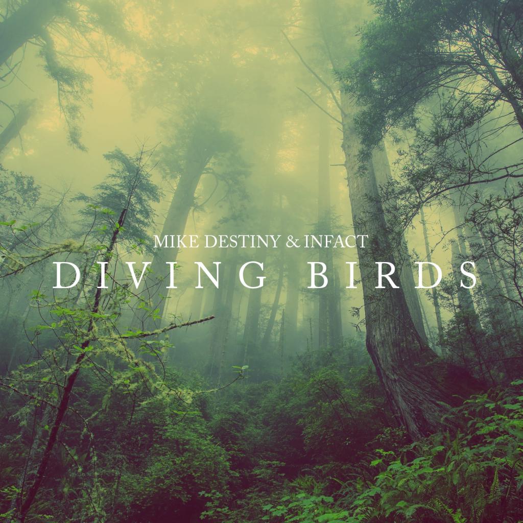 Diving Birds专辑