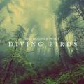 Diving Birds