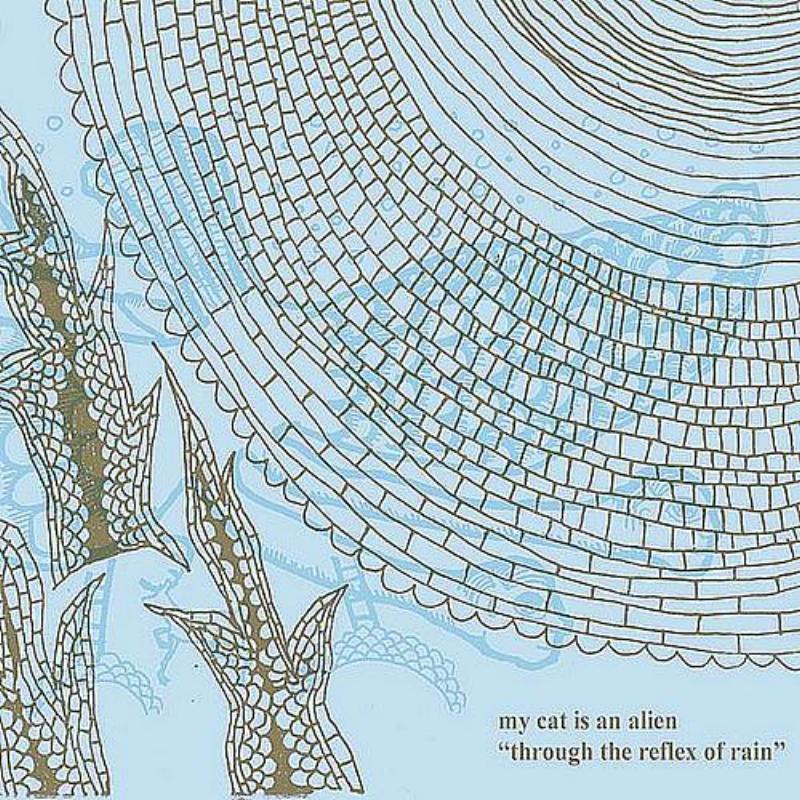 Through The Reflex Of The Rain