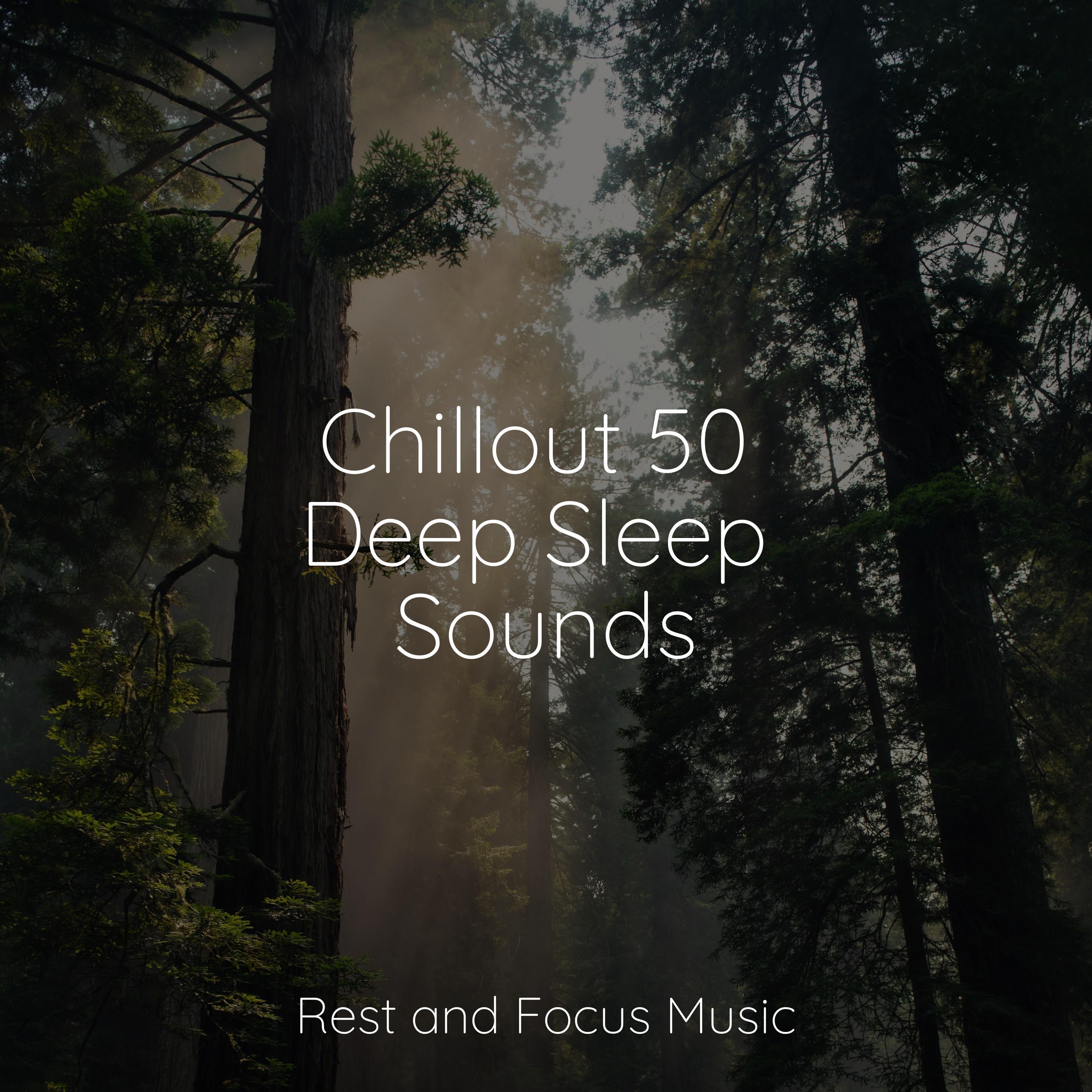 Chillout 50 Deep Sleep Sounds