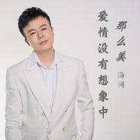 海阔-爱情没有想象中那么美(DJ版)