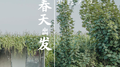 春天出发专辑