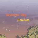 Soysauce-Dog Remixes专辑