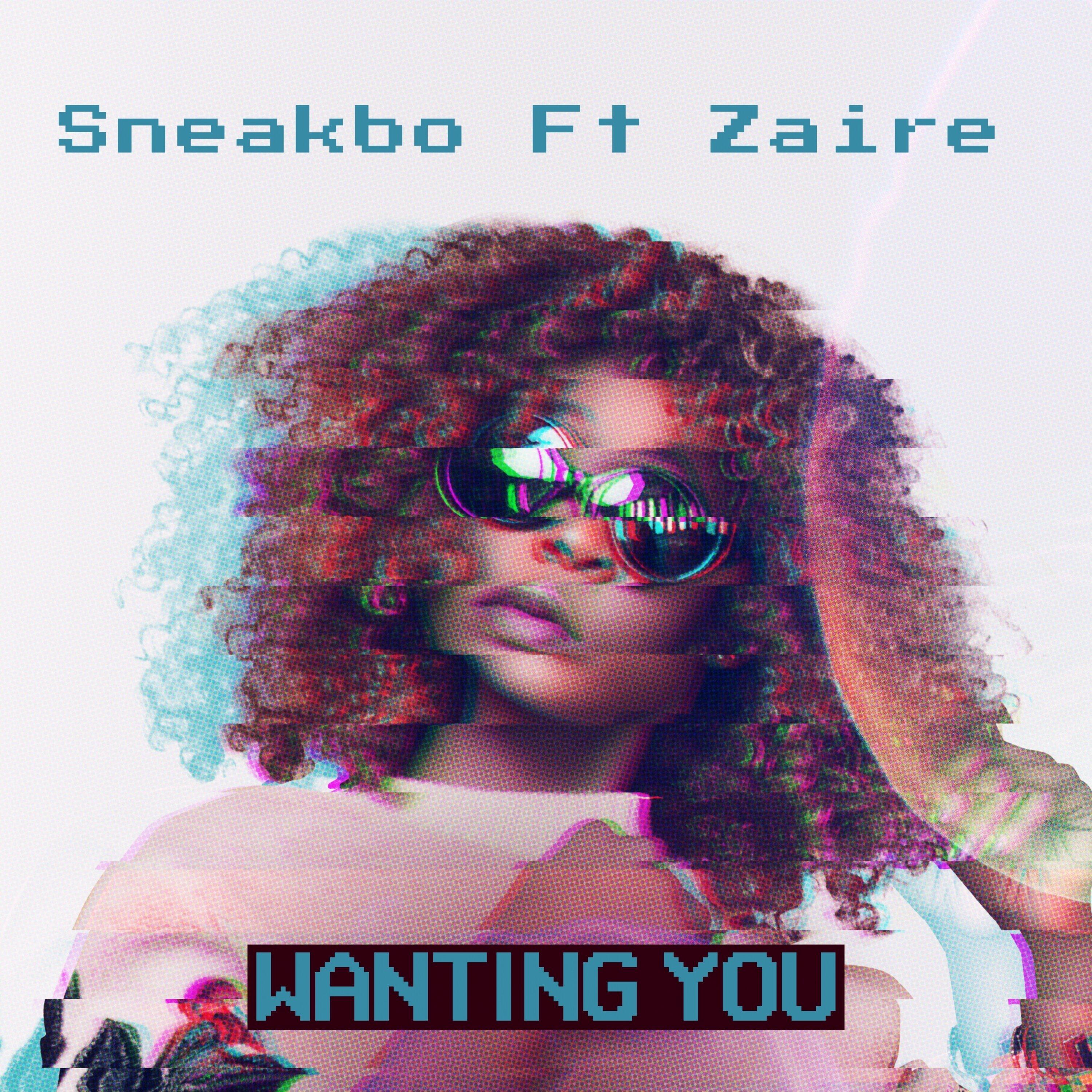 Sneakbo - Wanting You