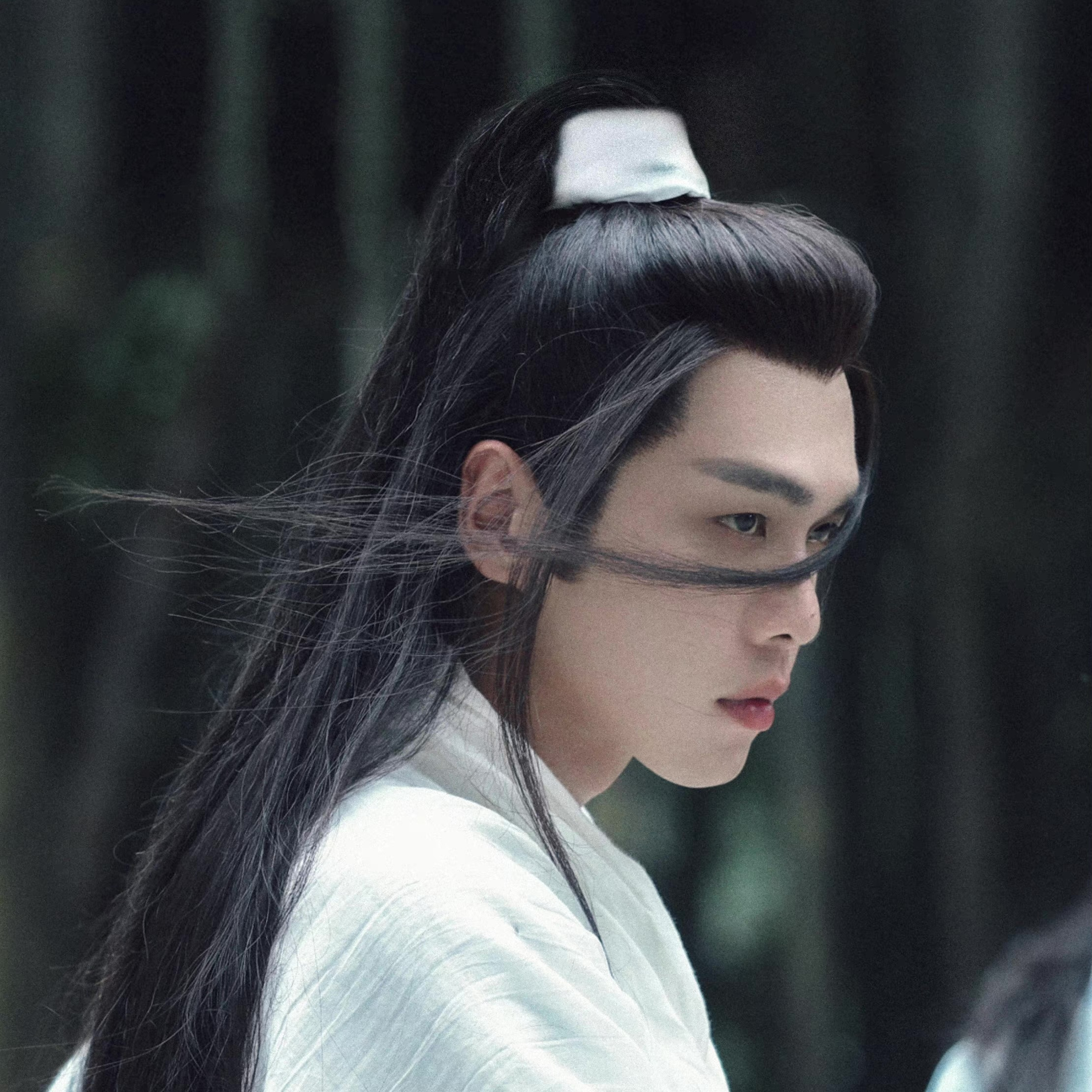 雪中行 (电视剧《雪中悍刀行》剧情念白纪念版)