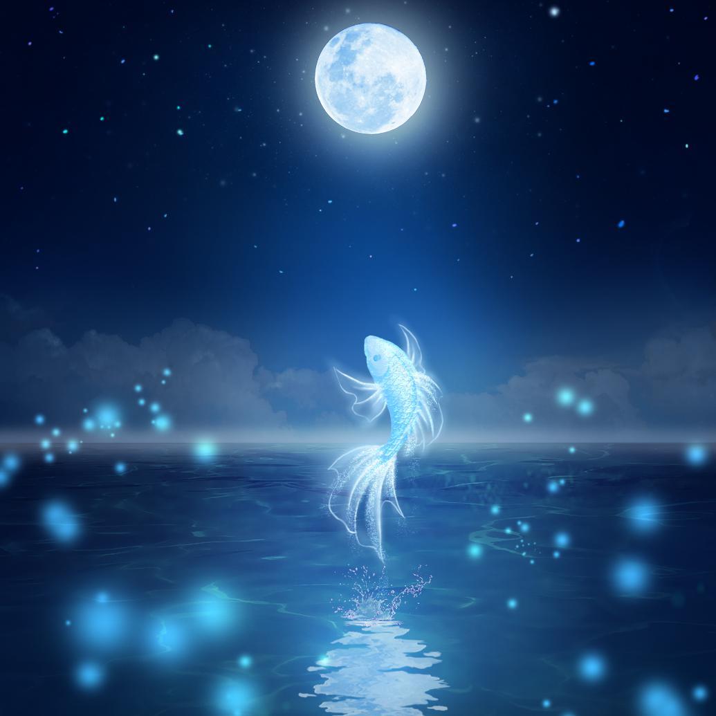 耶街·肖宇梁原创应援曲