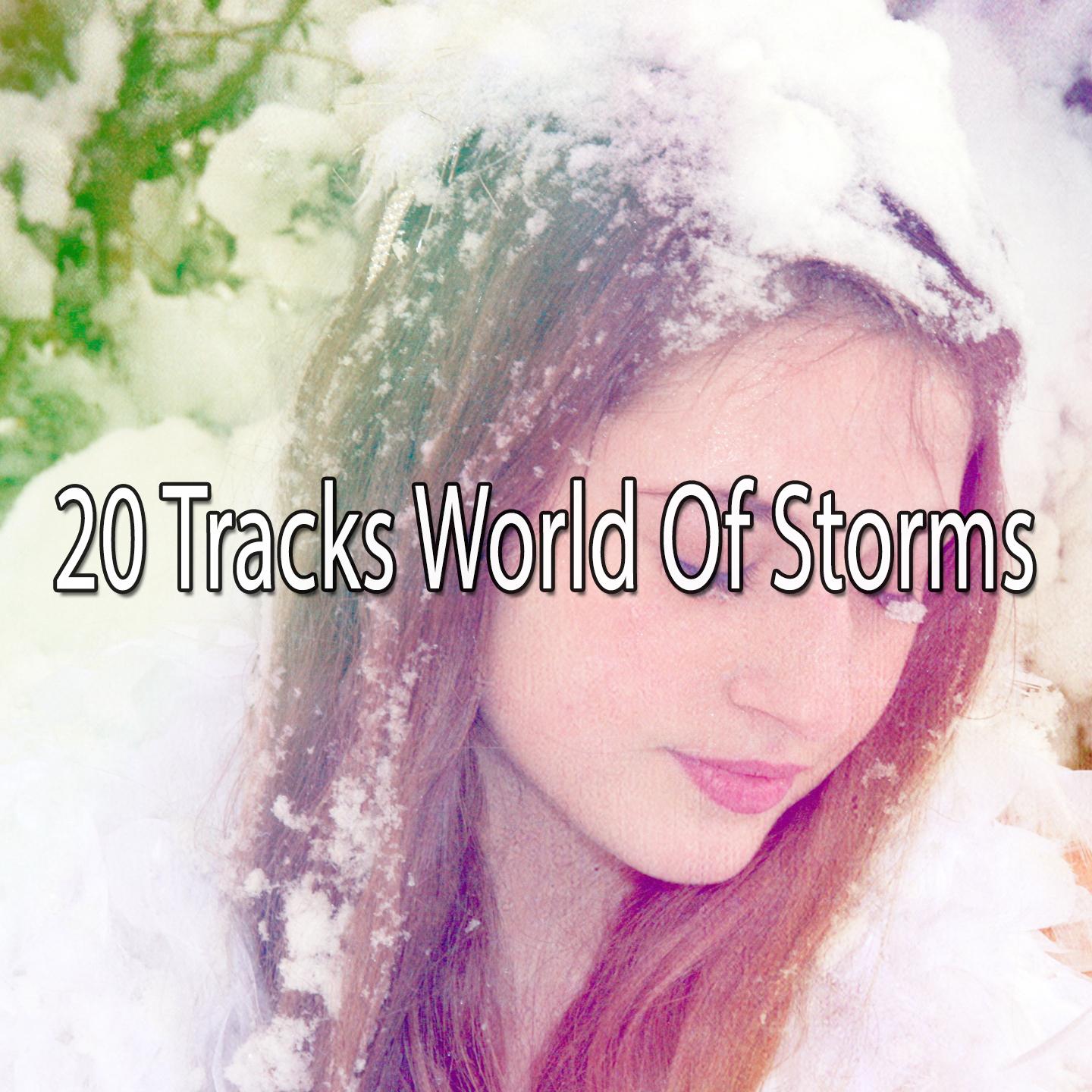 20 Tracks World Of Storms专辑