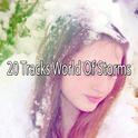 20 Tracks World Of Storms专辑