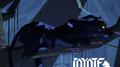 Black Cat专辑