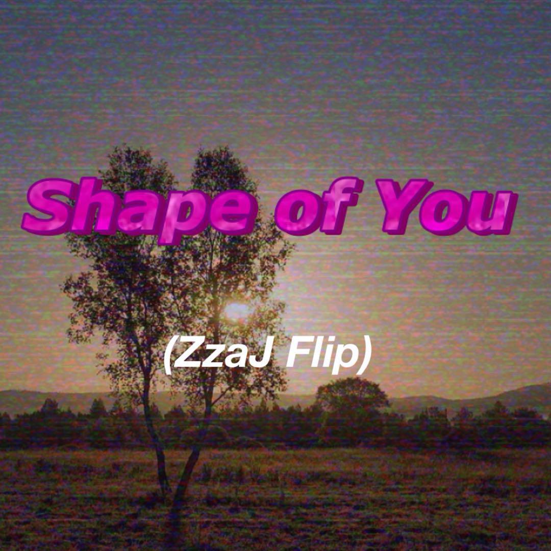 Shape of You(ZzaJ Flip)专辑