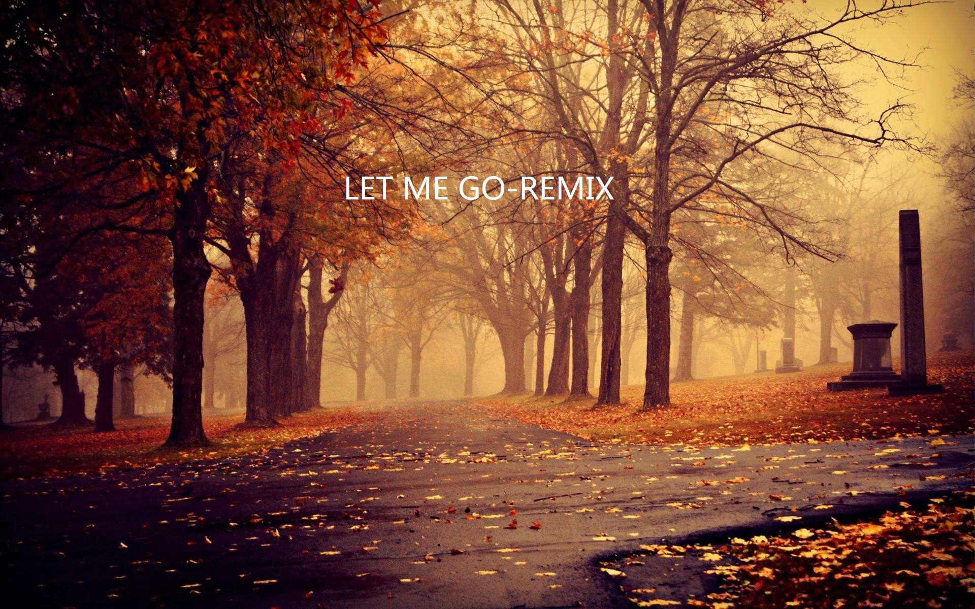 Let Me Go-Remix（2014）专辑