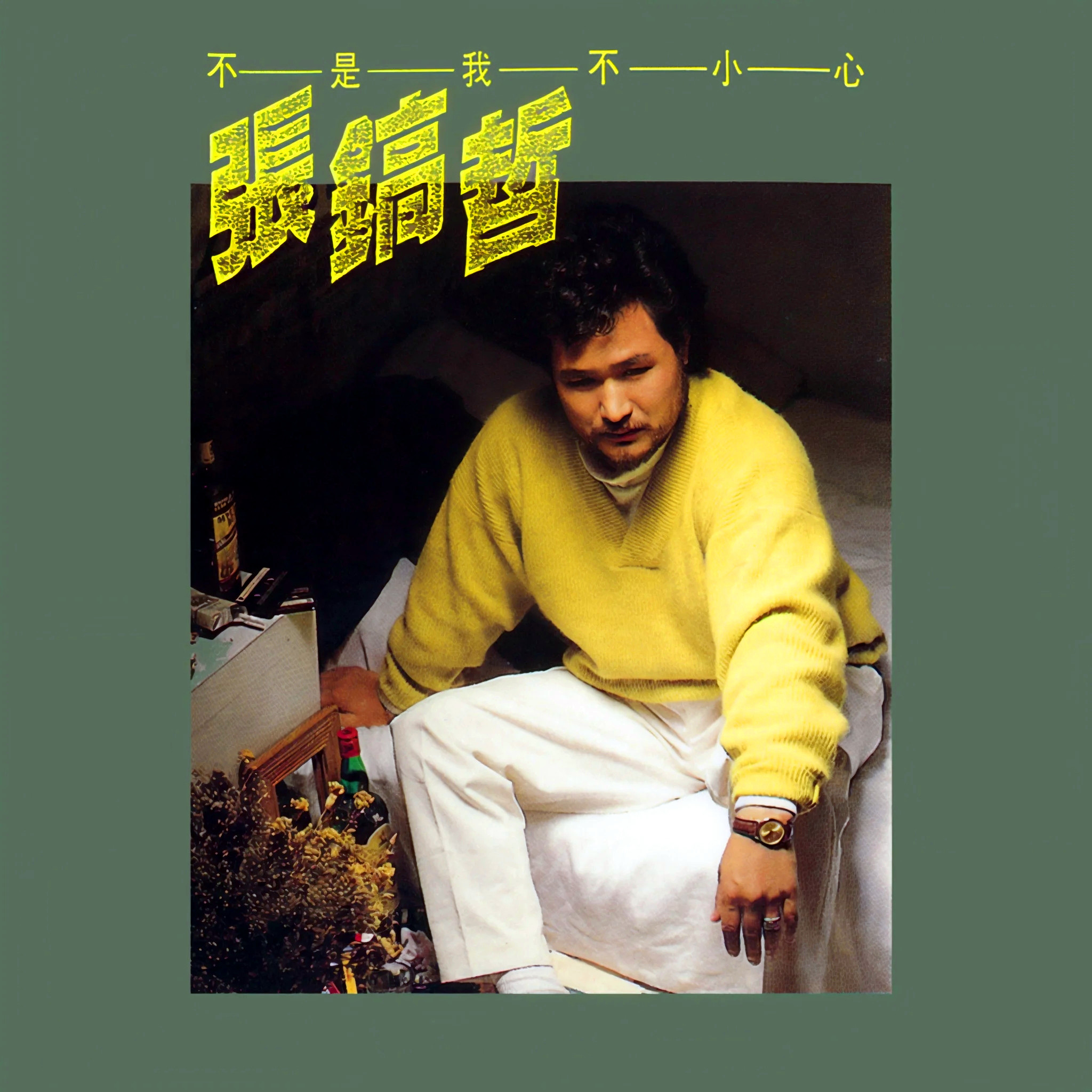 张镐哲-不是我不小心.flac