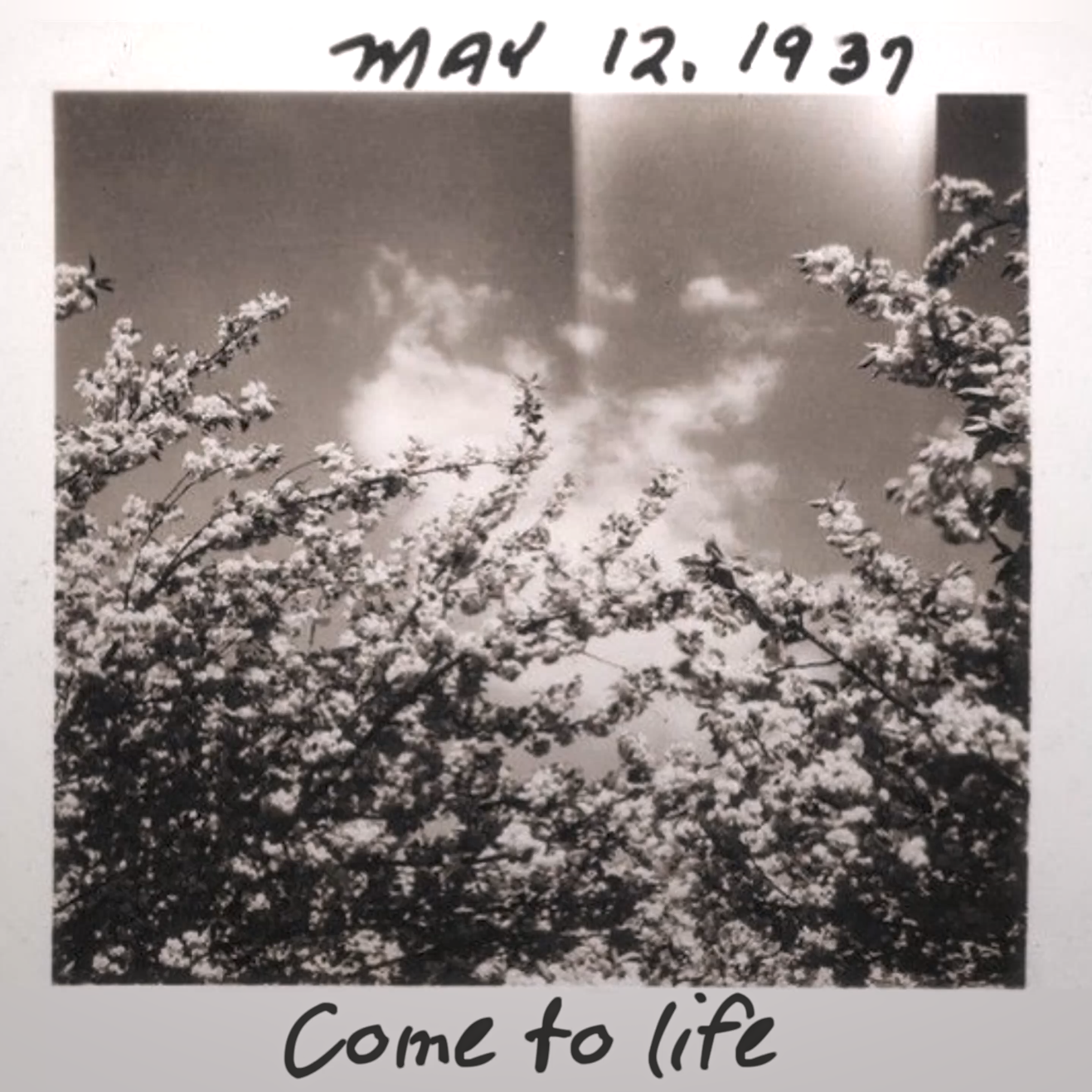 ComeToLife