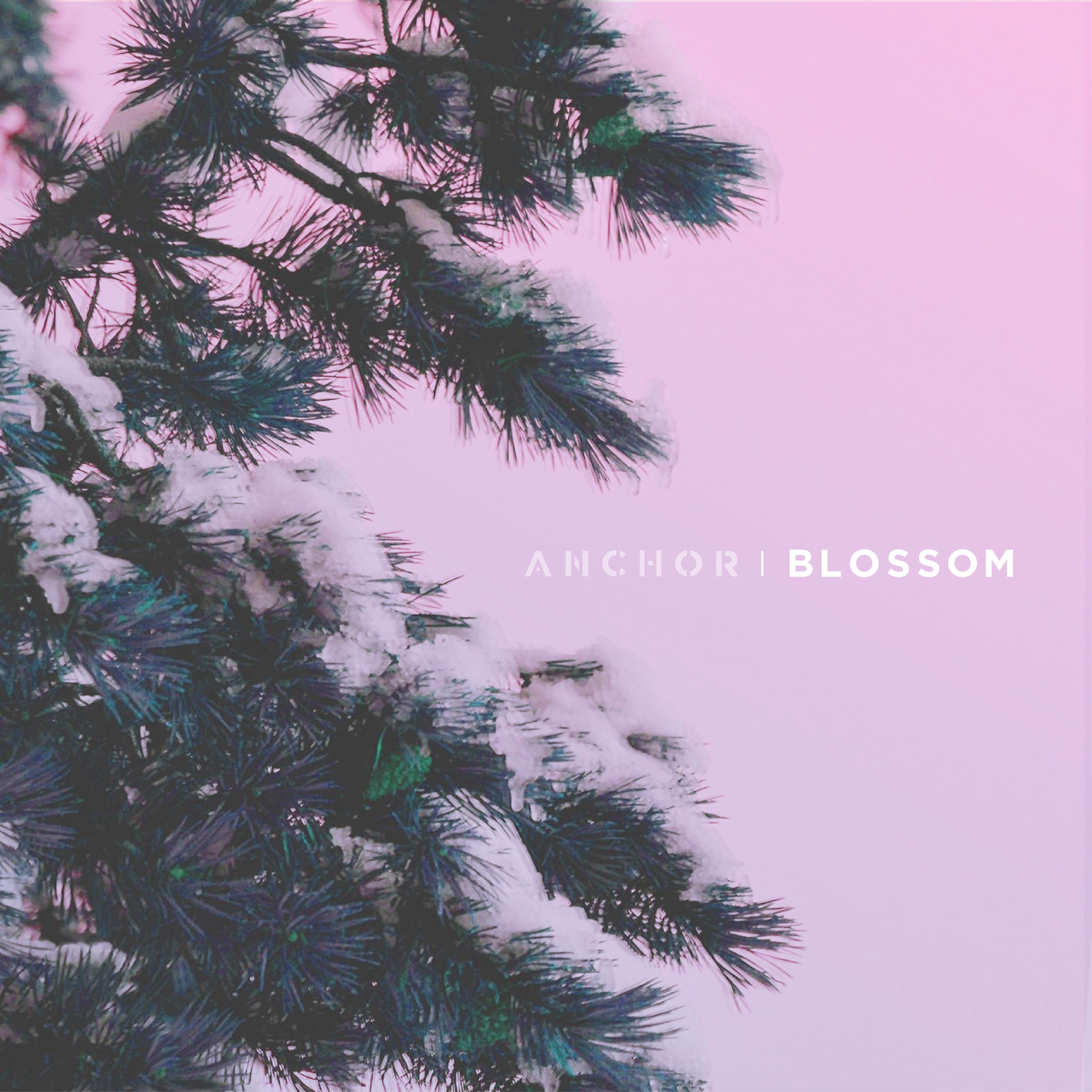 Blossom