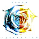 Bloom专辑