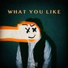 DAYXIV - What You Like