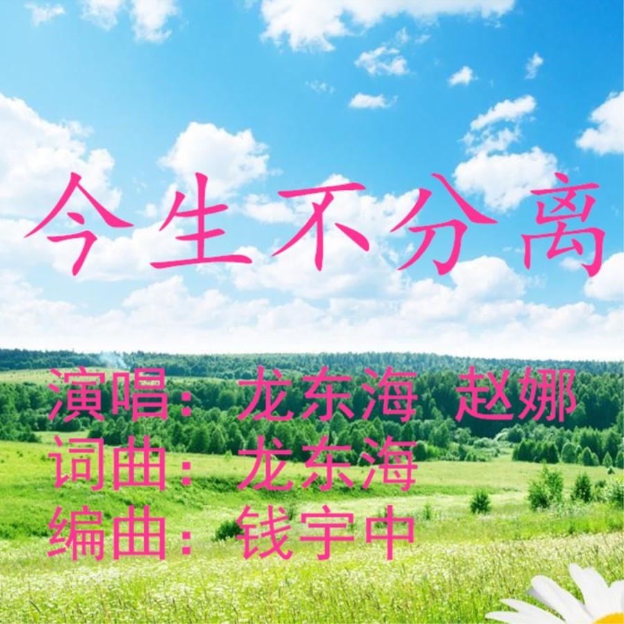 今生不分离
