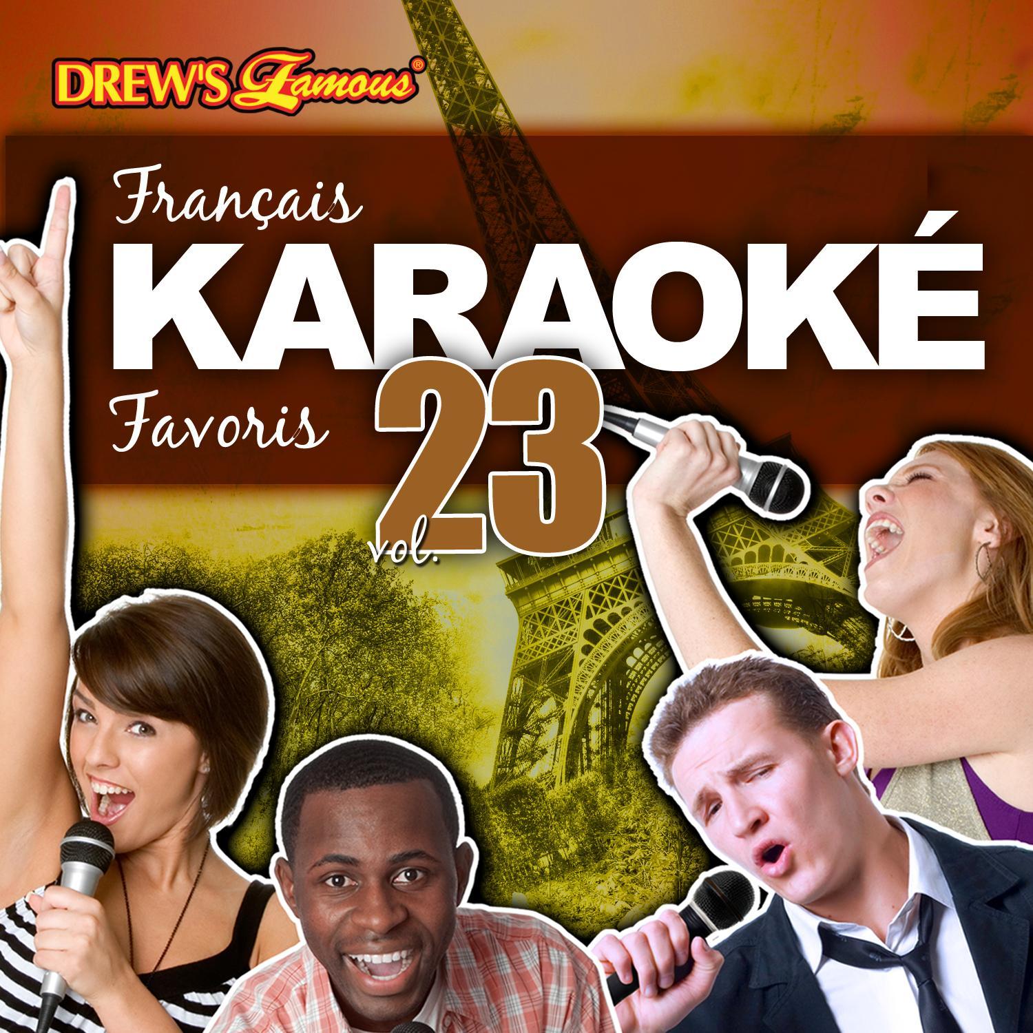 Français Karaoké Favoris, Vol. 23