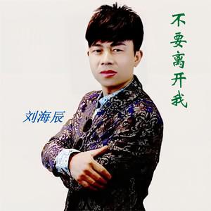 刘海辰 - 不要离开我 - 伴奏.mp3 （升5半音）