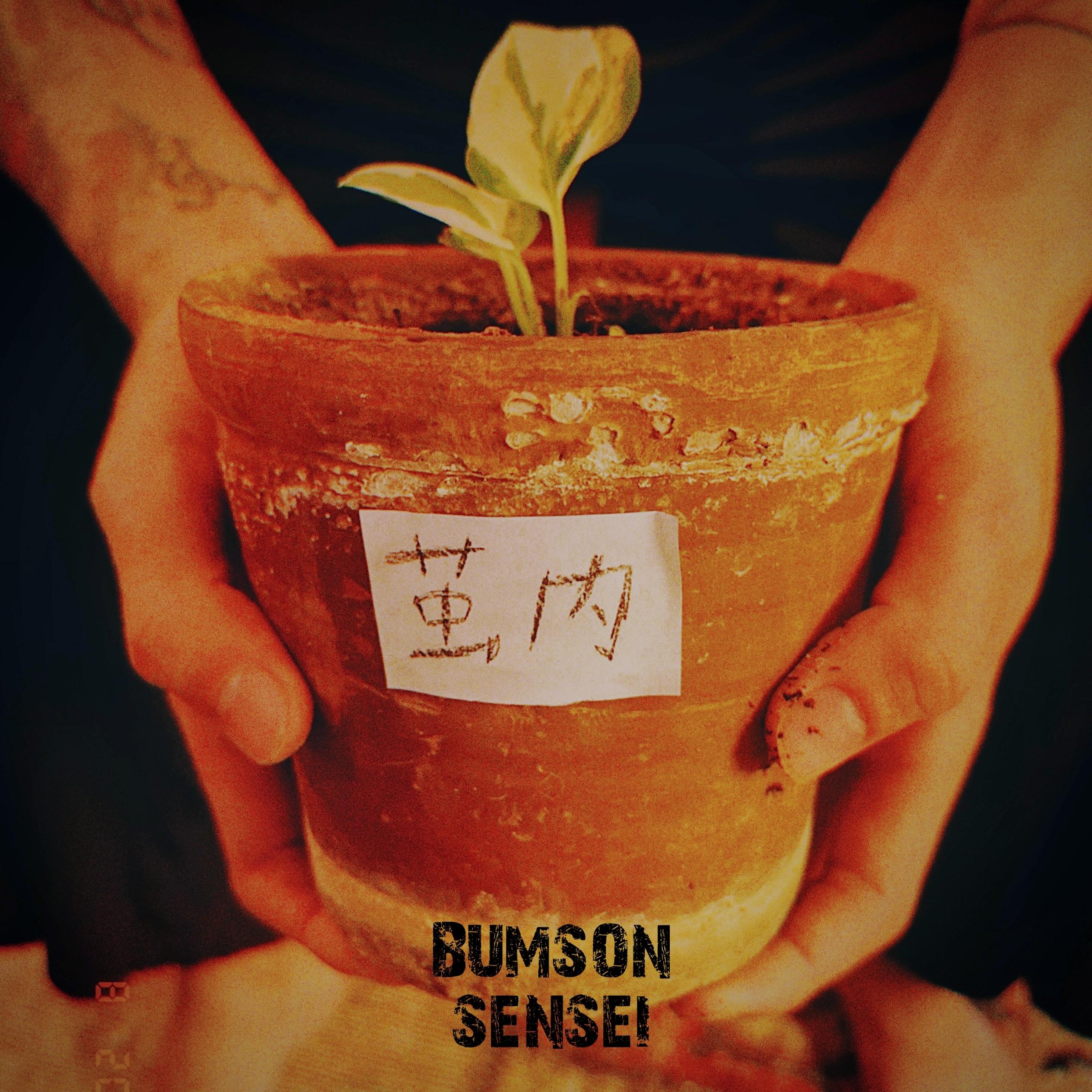 茧内