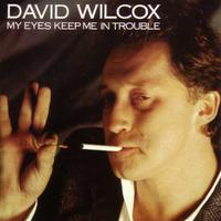 Too Cool - David Wilcox (karaoke)