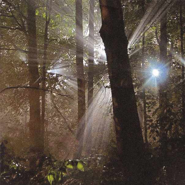 In Magical Light