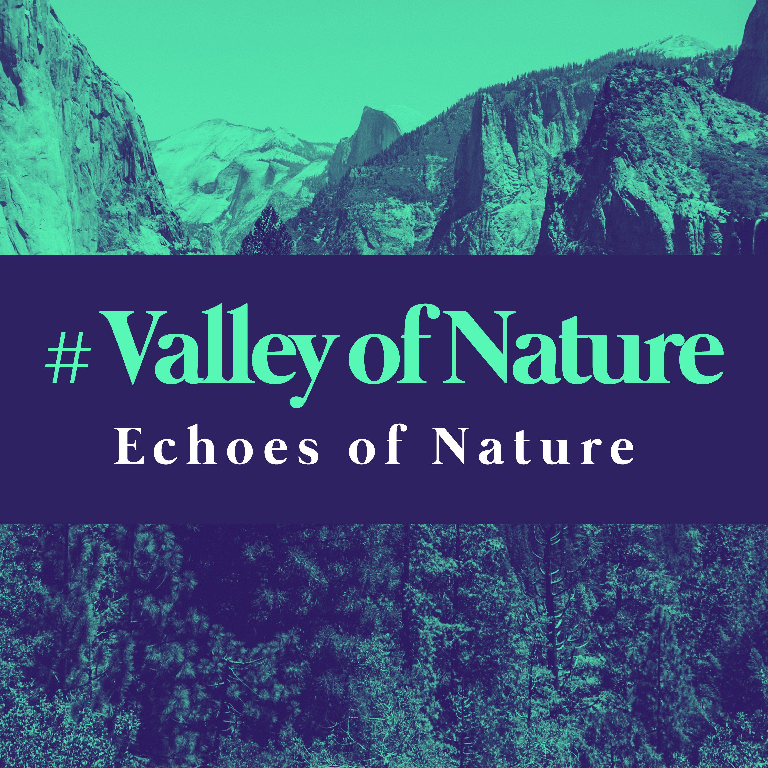 # Valley of Nature