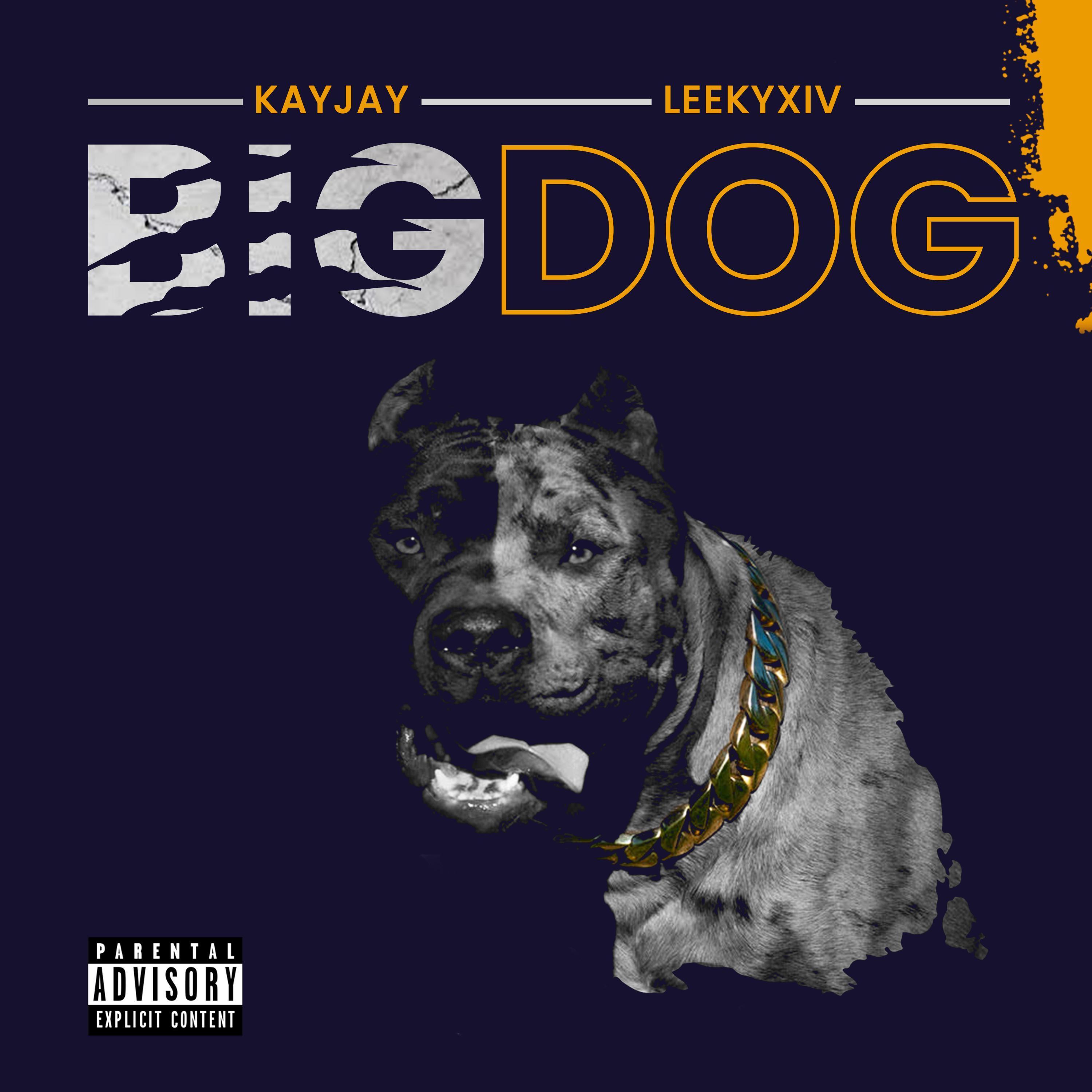 Bigdog (feat. Leekyxiv)