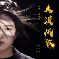 潘倩倩、何鹏(5) - 大漠风歌 (伴奏)(DJ何鹏版)