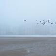 Fog