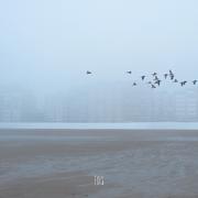 Fog
