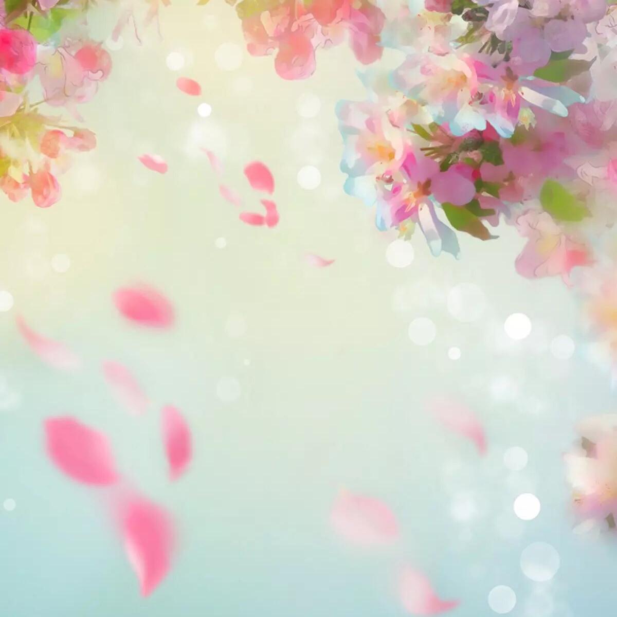 「桃花不见」二胡版