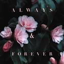 Always & Forever专辑