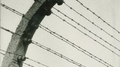 Songs for a Barbed Wire Fence专辑