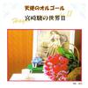 オルゴールCD 宮崎駿のの世界II专辑