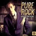 Pure Rock Karaoke Sing - Along专辑