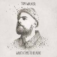 Angels - Tom Walker (Z karaoke) 带和声伴奏