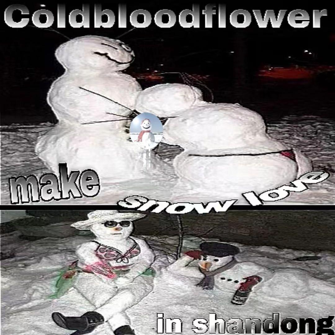 为你买空了豆橛子你现在却要大百菜