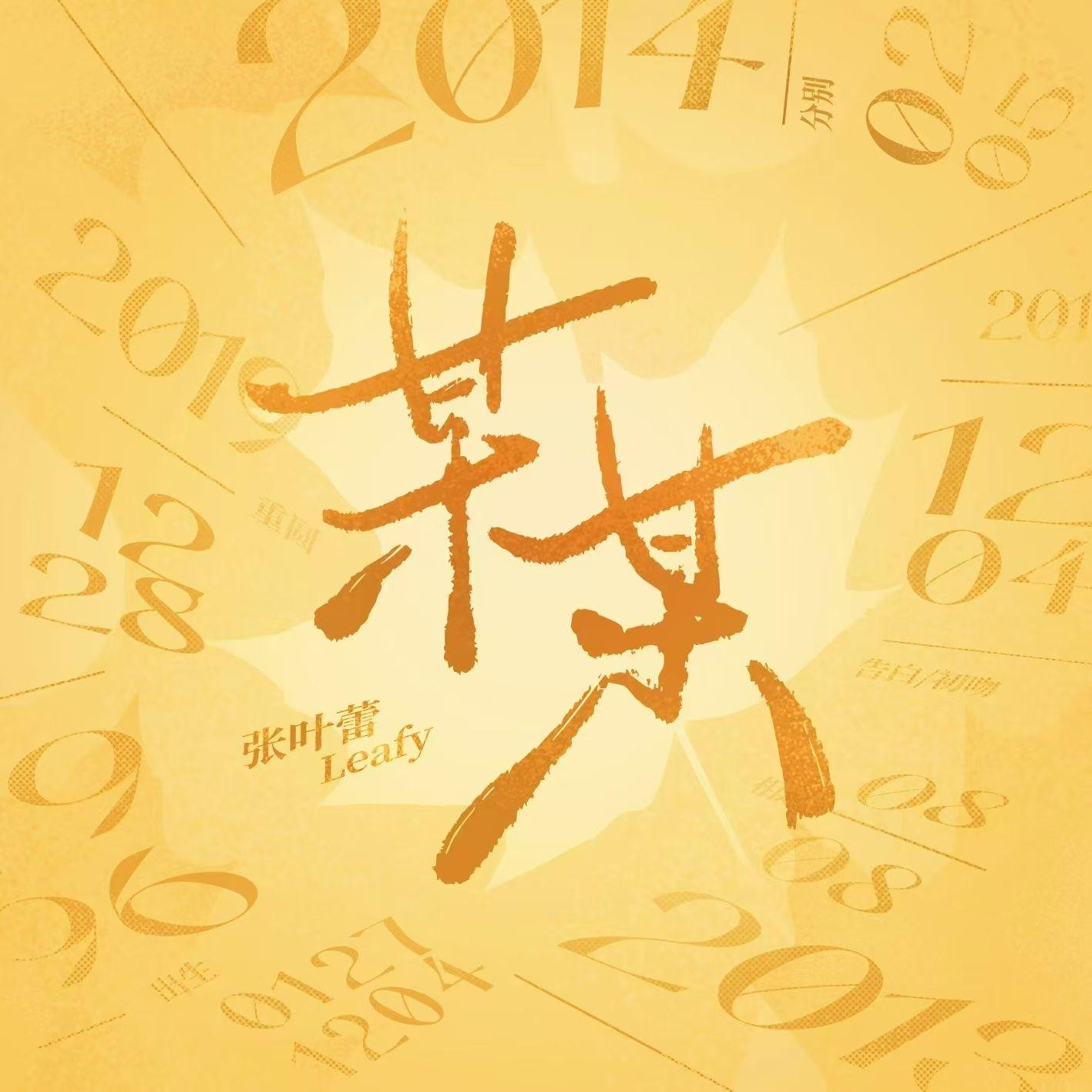 某某（非官方小说发烧友追星歌曲）