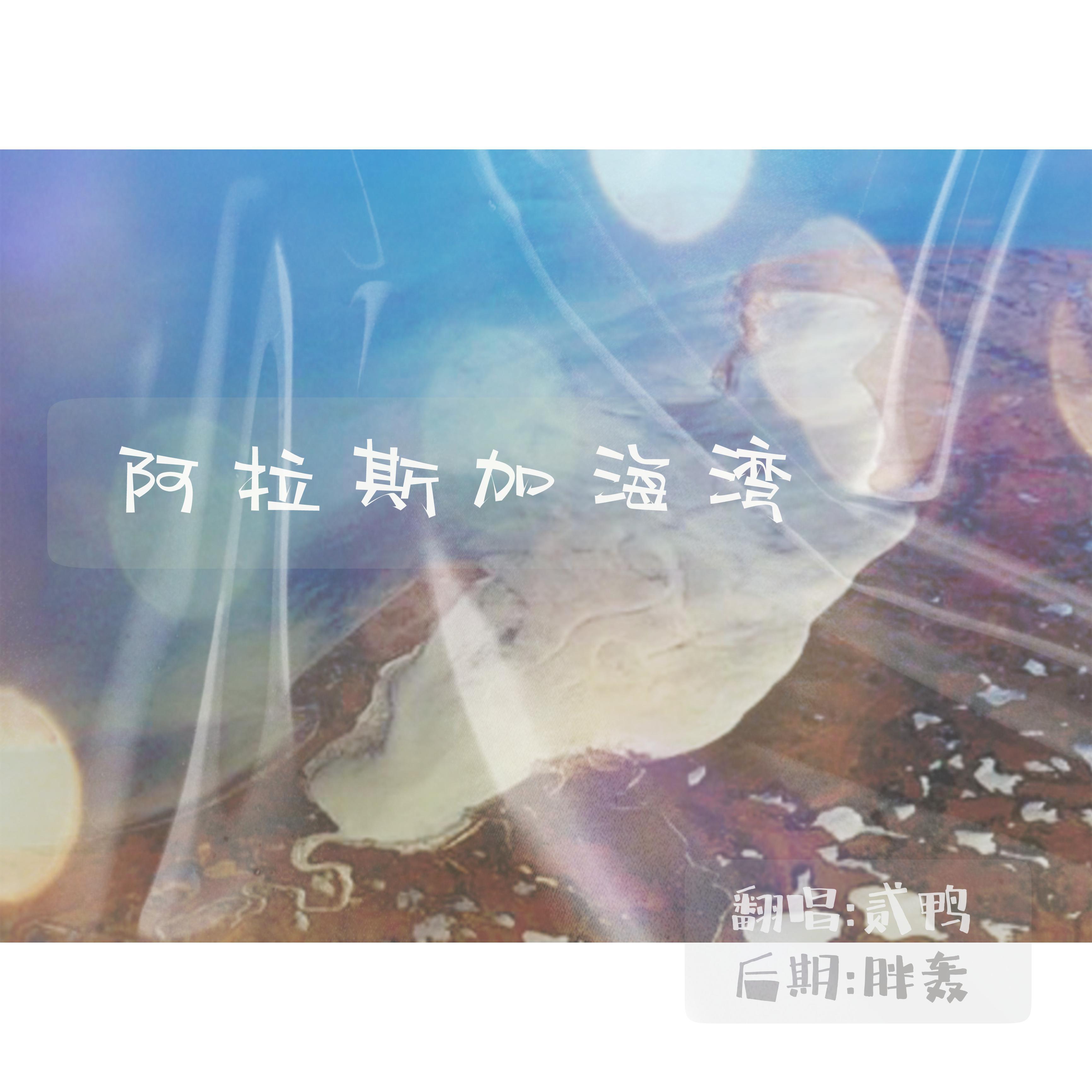 阿拉斯加海湾