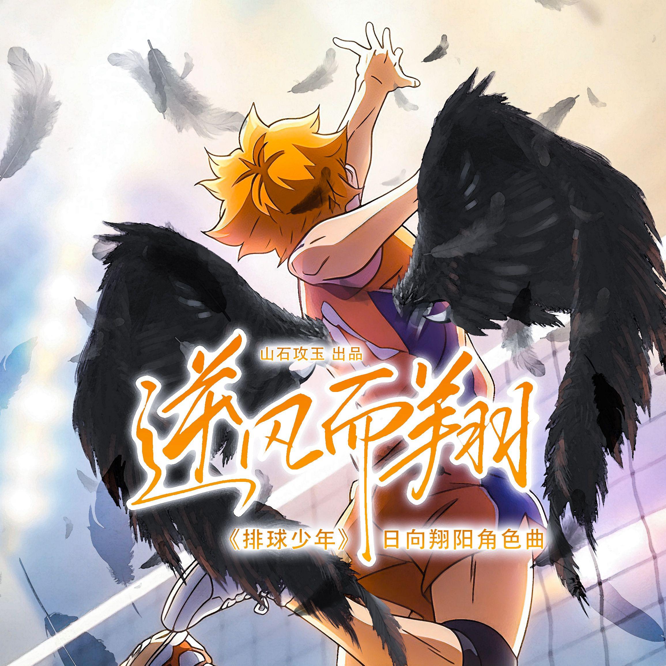 逆风而翔 ——《排球少年》日向翔阳角色曲