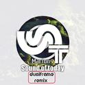 Sound Of Today (DualFrame Remix)专辑